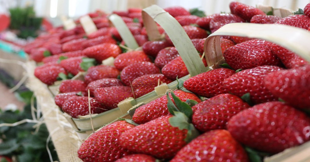 Atibaia é um dos destaques do Circuito das Frutas