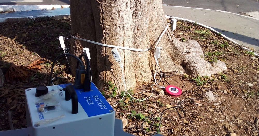 Zeladoria de Atibaia inova e usa tecnologia para avaliar saúde das árvores urbanas