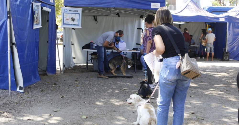Ato de amor e cuidado: mais de 500 animais recebem castração gratuita em Atibaia