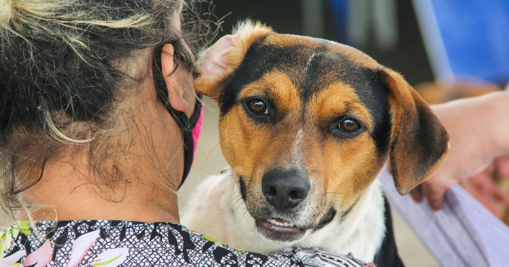 Prefeitura de Atibaia realiza castração gratuita em mais de mil animais