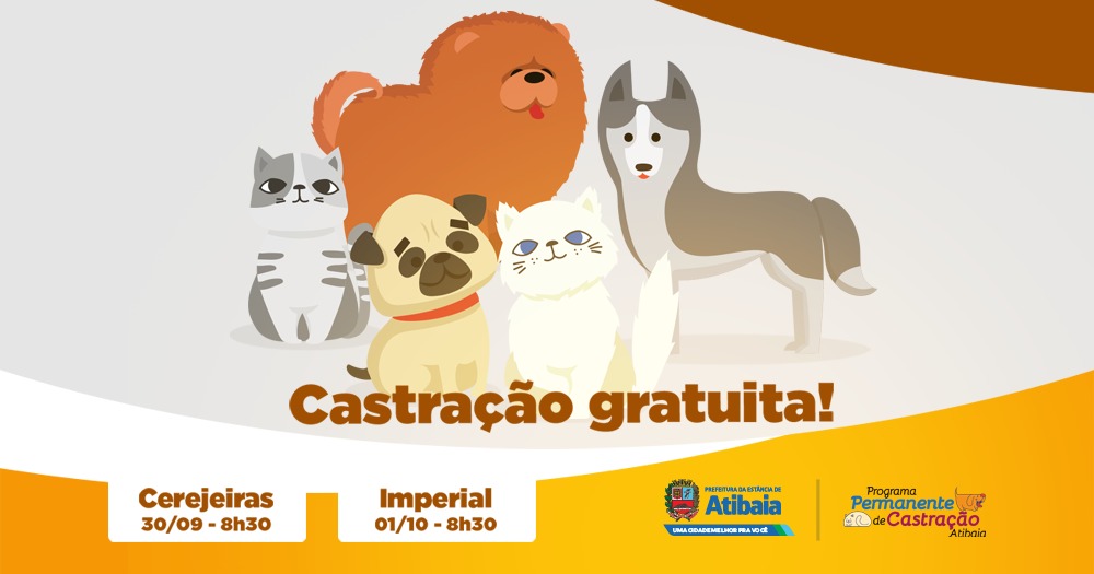 Cerejeiras e Imperial são os próximos bairros a receber o Mutirão da Castração