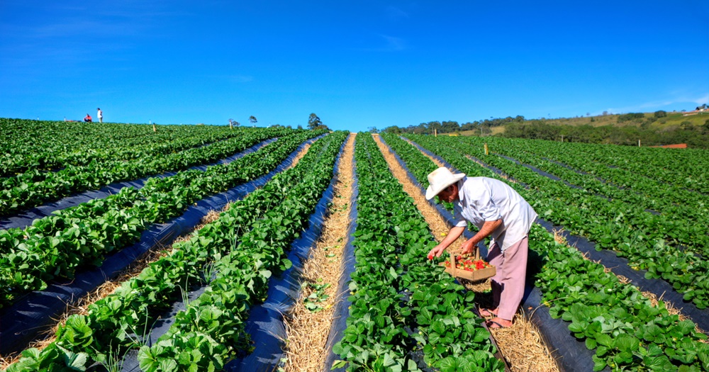 Atibaia fica em 12º lugar no Estado em ranking que avalia desenvolvimento sustentável rural