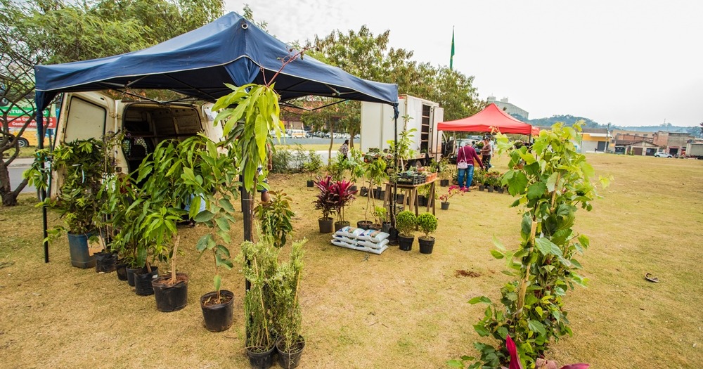 Feira do Produtor Rural terá edição extra no dia 31, véspera de Ano Novo