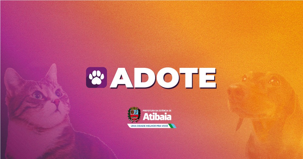 Prefeitura de Atibaia promove Feira de Adoção de Animais na próxima quarta 26