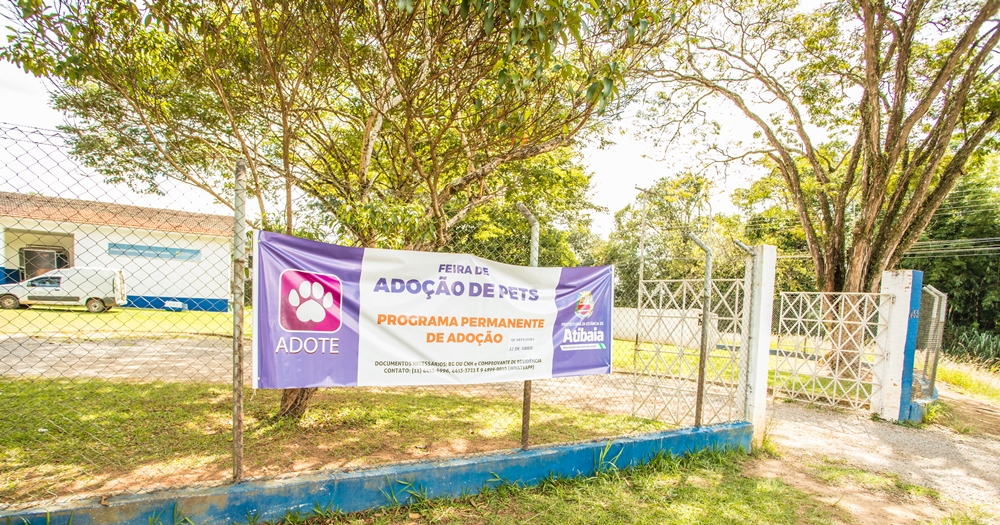 Defesa Animal de Atibaia promove Feira de Adoção nesta quarta-feira 26