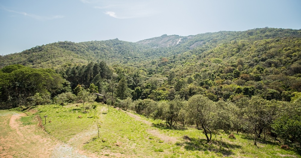 Prefeitura de Atibaia homologa resultado de concurso para conservação do Parque da Grota Funda