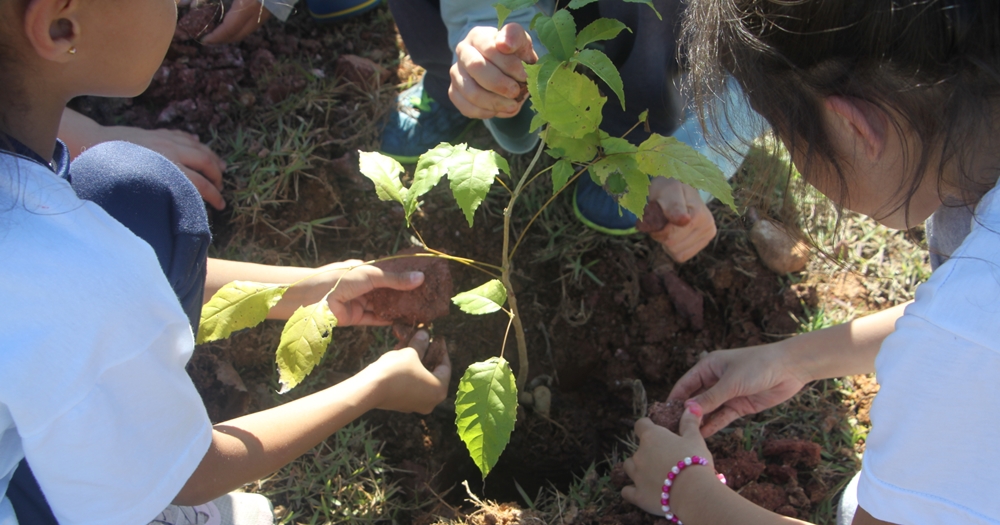 Prefeitura de Atibaia promove Semana do Meio Ambiente nas unidades escolares